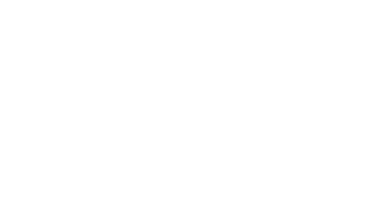 estudio LOSA